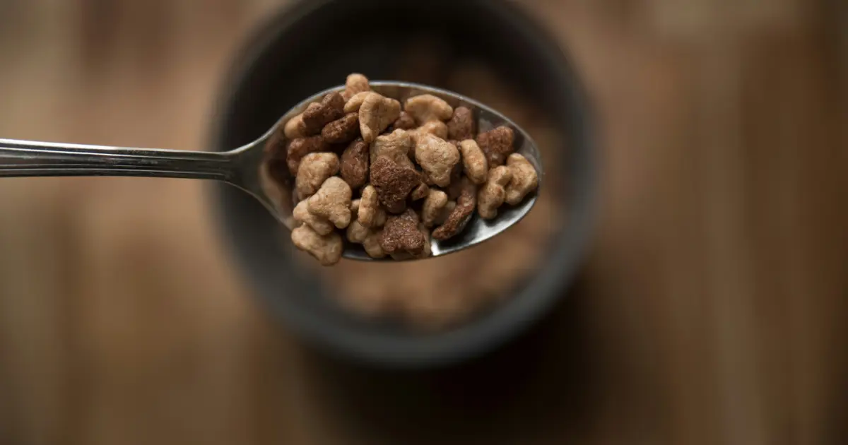 Dog food types and grades — dry wet raw freeze-dried comparison guide