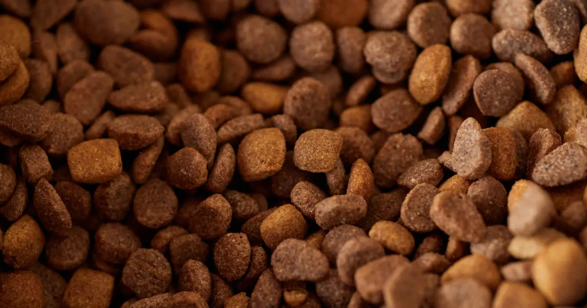 How to read a dog food label — ingredients, Guaranteed Analysis, and marketing claims